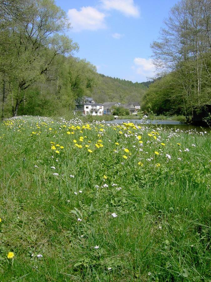 Pulgersmuehle Apartman Morsdorf Kültér fotó